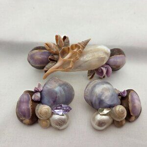 Vintage 80s Genuine Abalone Shell Hair Barrette & Clip Earring Set